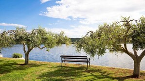 Een bank aan een meer, met bomen en een heldere lucht.