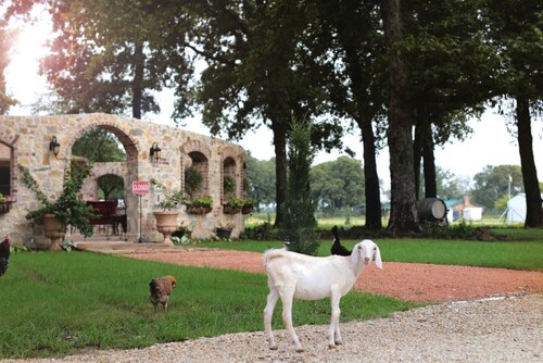 Fortunata Winery Villa #5, Elegant Stay for 4