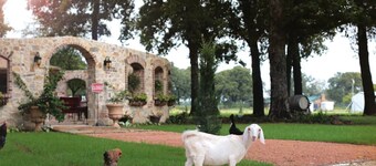 VILLA FORTUNATA - # 5