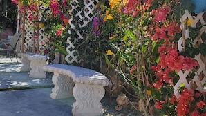 Un jardin avec une clôture en treillis blanche, des bougainvilliers aux couleurs vives et un banc en pierre.