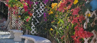 This charming Bed N Breakfast is perfect for you to get your relaxation!