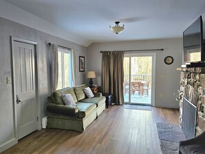 TV connectée, cheminée, lecteur de DVD, livres