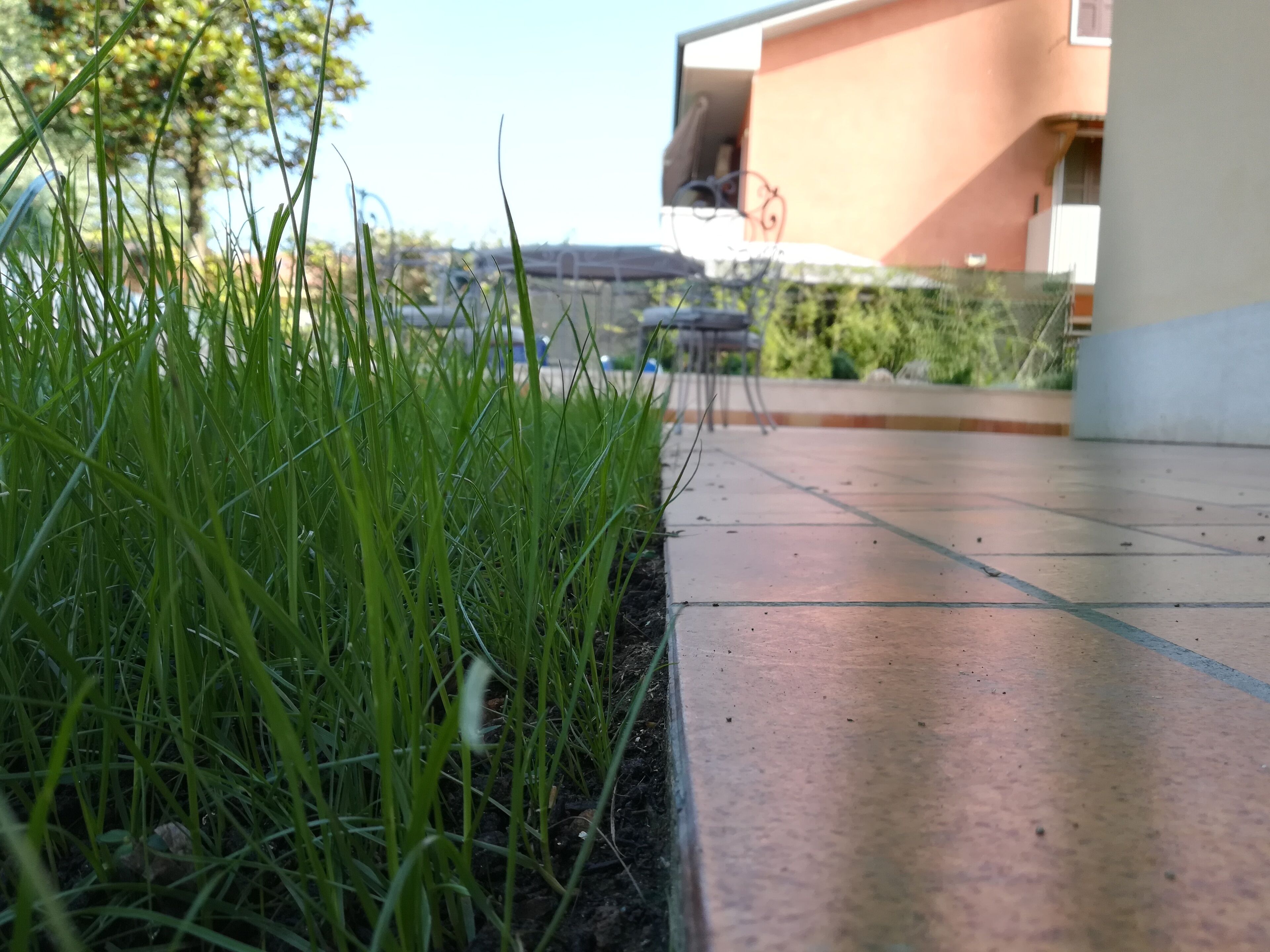 Un espace extérieur aménagé en terrasse, avec un sol en béton et une bordure enherbée.
