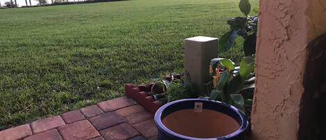 A grassy area with a dock in the background, a brick pathway, and a large planter.