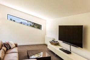 Smart TV, fireplace, books