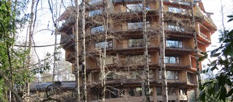 Cabaña Los Coigues 2308