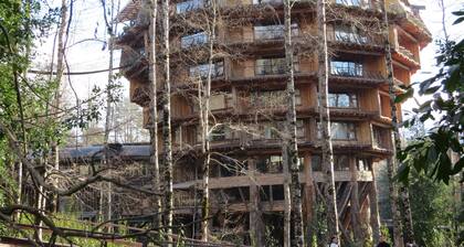 Cabaña Los Coigues 2308