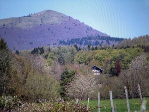 Unclassified image, 5 of 5, button