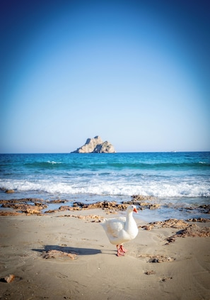 Playa en los alrededores y toallas de playa 
