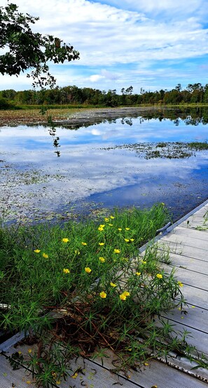 A wooden deck with yellow flowers and a pond reflecting trees and sky.