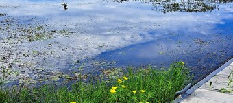 Lake Cottage, 1 mile to boat ramps & Big Jims Oyster Bar.