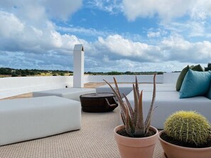 Une terrasse sur le toit avec un canapé blanc, un aloe vera en pot et un cactus en pot.