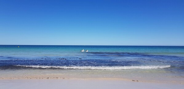 Beach - Longbeach Retreat, Beautiful Ocean views at your fingertips (Port Kennedy)