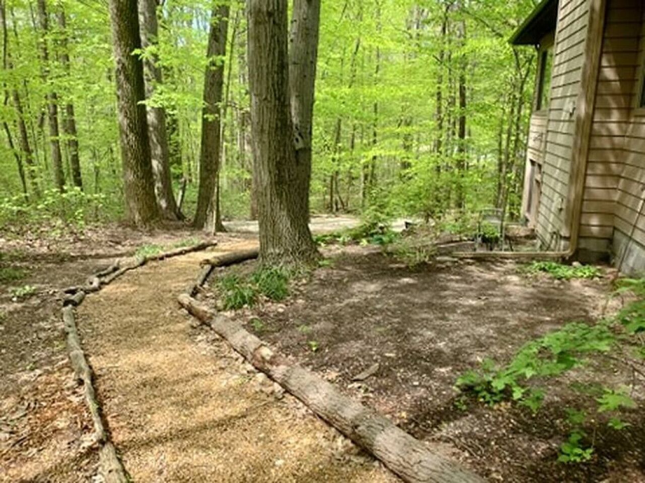 Una cabaña de madera rodeada de bosque, con un sendero de tierra que lleva a ella.