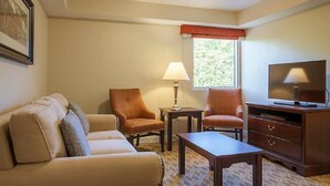 Une chambre d’hôtel équipée d’un canapé, de deux fauteuils, d’une table basse, d’une télévision, d’une lampe et d’une fenêtre donnant sur un paysage verdoyant.
