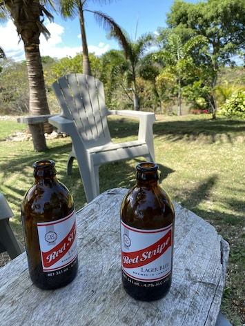 Repas et boissons