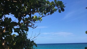 Una playa con agua turquesa cristalina, orilla de arena y un árbol en primer plano.