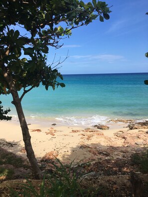 A beach with clear turquoise water, sandy shore, and a tree in the foreground. - Panoramic views with room to roam in a relaxing environment. (Haughton Court)