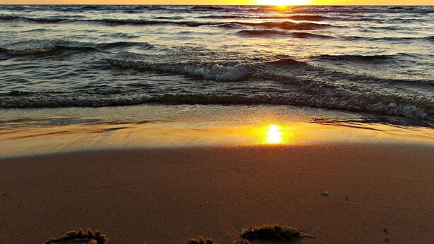 A beach with the words "Pure Magic" written in the sand. - Beautiful Beachfront Custom Log Cabin on Lake Huron (Oscoda)