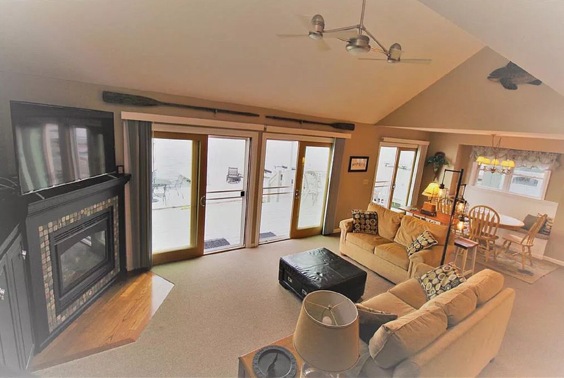 Smart TV, fireplace, DVD player, books