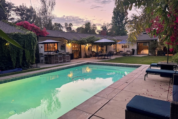 Back yard view