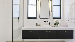 Bathtub, hair dryer, toilet paper