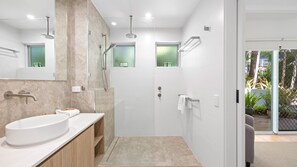 Shower, towels, toilet paper