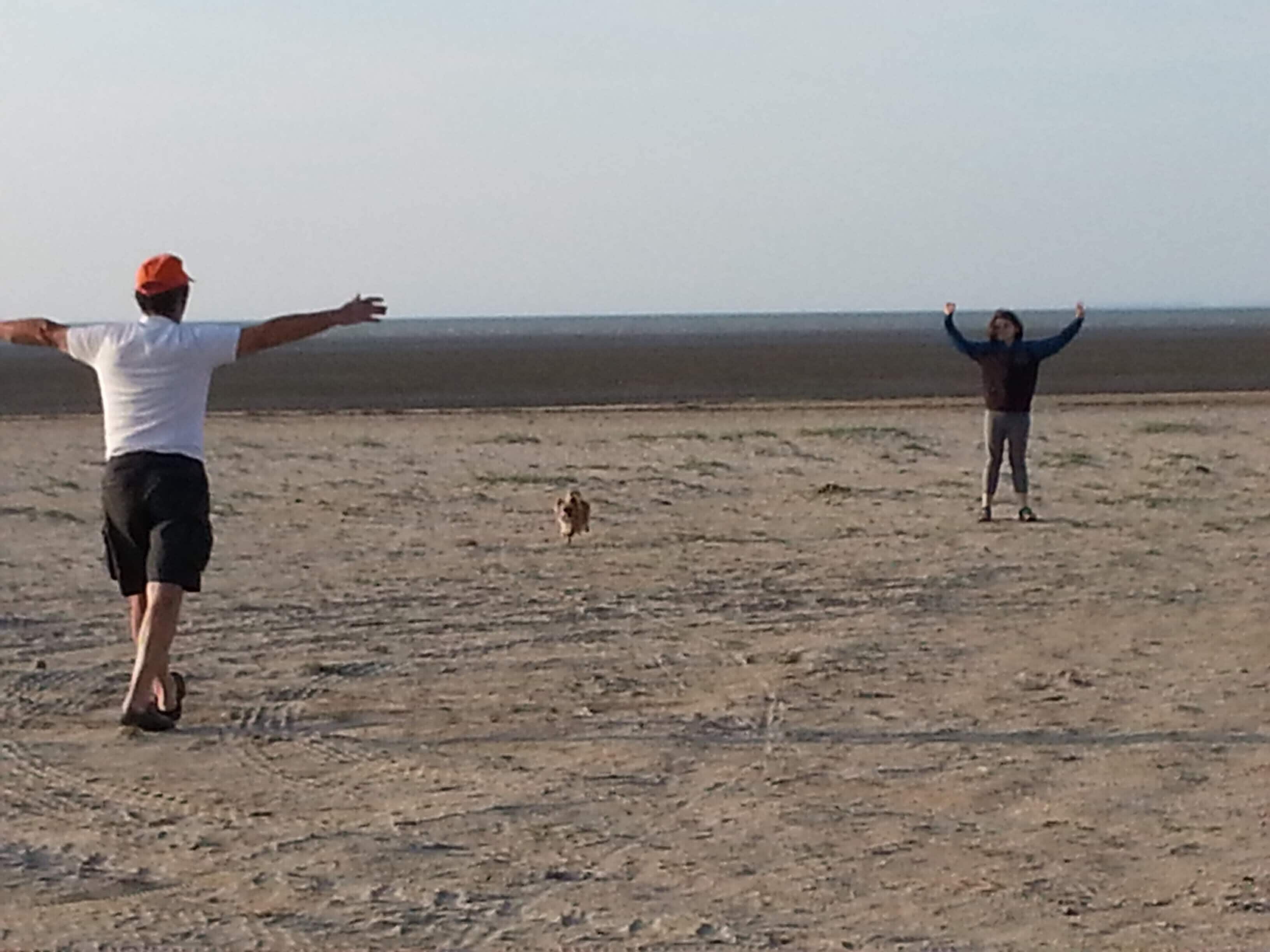 Une plage de sable où se trouvent deux personnes : l’une a les bras tendus, l’autre a les bras levés.