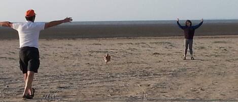 Une plage de sable où se trouvent deux personnes : l’une a les bras tendus, l’autre a les bras levés.