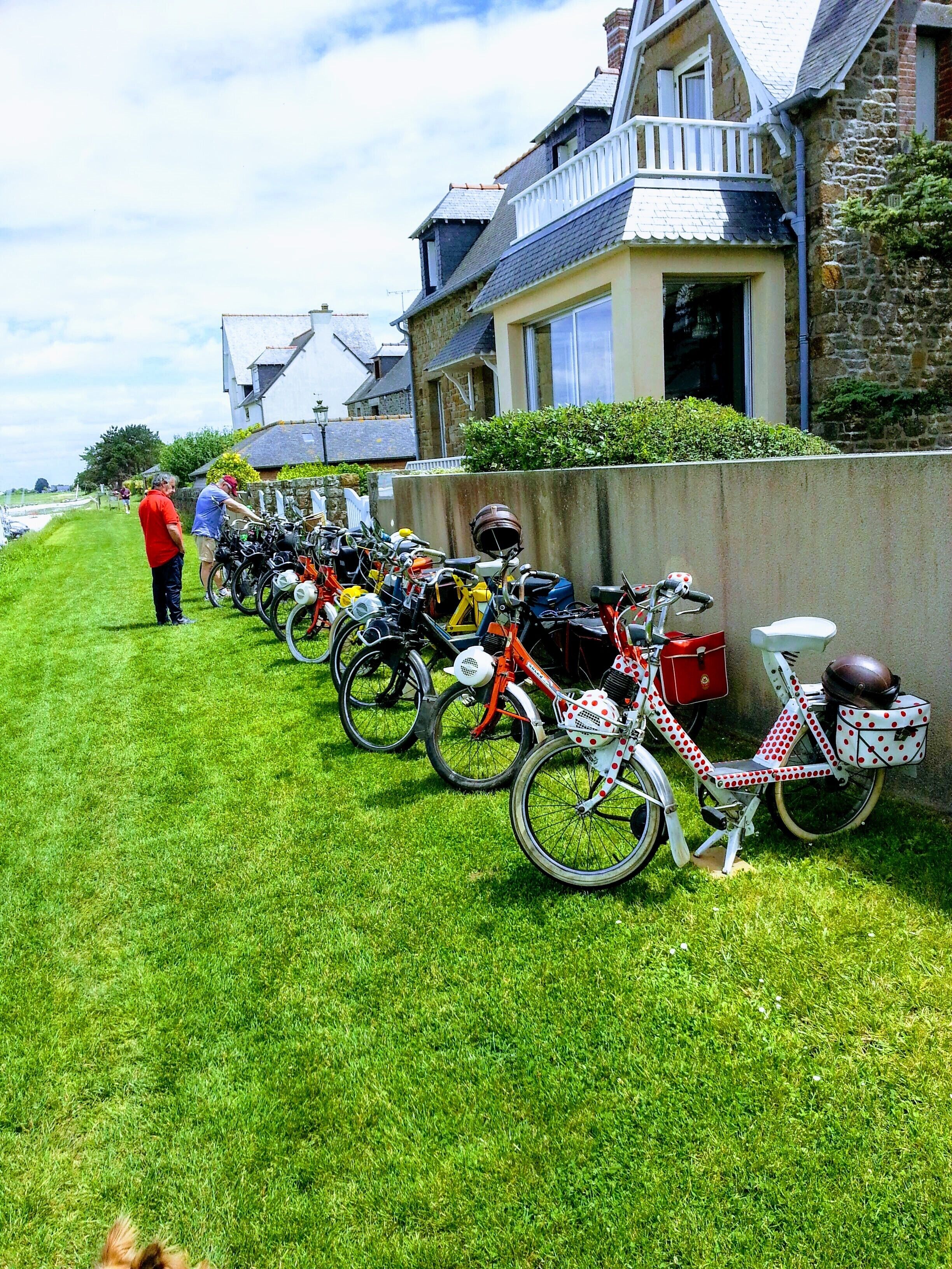 A row of bicycles parked on a grassy area beside a stone building with a white fence and a hedge.