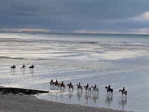 On the beach - EXCEPTIONAL SEA VIEW! IDEAL AS A COUPLE FOR A RELAXING AND COMFORTING STAY. (Agon-Coutainville)