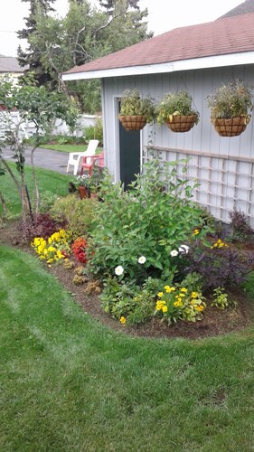 Rhubarb North - Downtown Anchorage historic restored home 