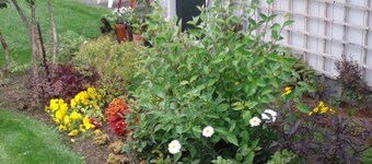 Rhubarb North - Downtown Anchorage historic restored home 