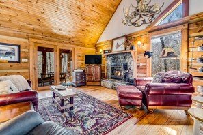TV, fireplace, DVD player, books