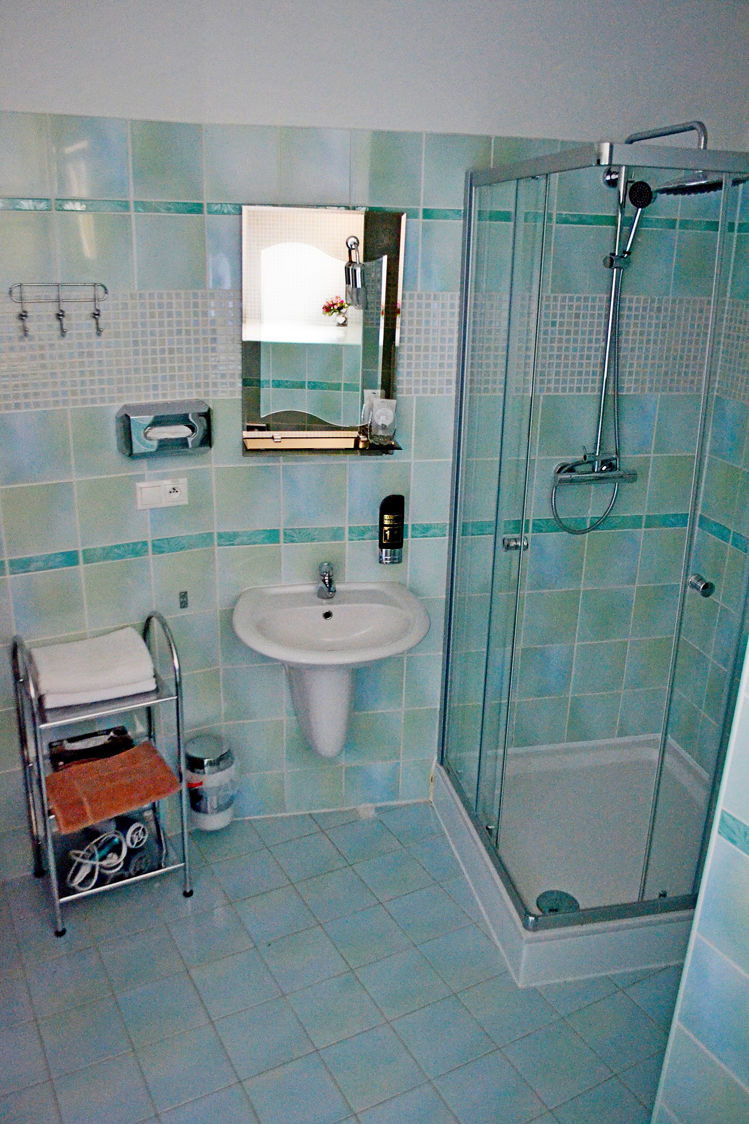 A bathroom with a sink, a glass shower enclosure, and a towel rack.