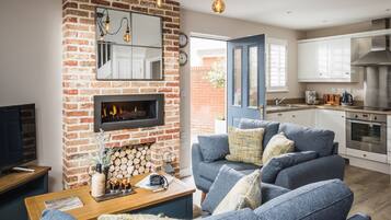 TV, fireplace, books