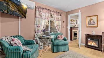 Una televisión, una chimenea, un reproductor de DVD, una videoteca