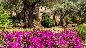 Terrein van de accommodatie