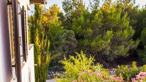 A stone staircase leading to a white building with a garden featuring pink flowers and green shrubs. - DreamDay apartment (Vir)