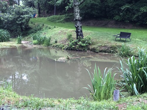 4 houses down from our farm, The Grace Place - king & queen beds