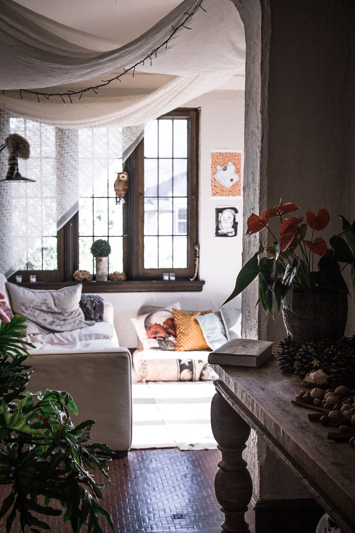 Bild für Gastgeberprofil