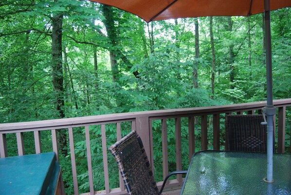 Relax on the deck surrounded by a lush forest, with a wicker chair and glass table at your fingertips.