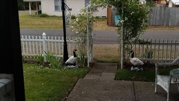 Enceinte de lâhĂ©bergement