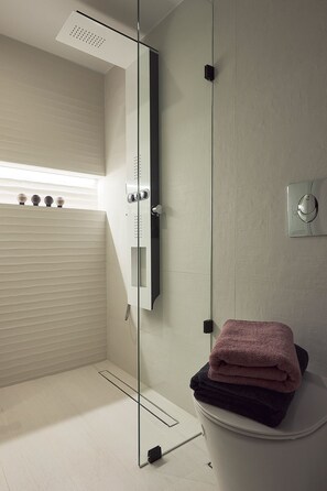 Douche, articles de toilette (gratuits), séchoir à cheveux