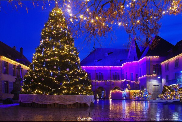 A large Christmas tree decorated with lights and ornaments in a courtyard with buildings in the background.