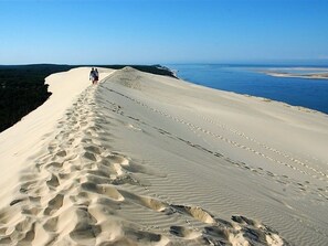 Beach nearby - Studio in Arcachon: Beach Access, Balcony, Parking (Arcachon)
