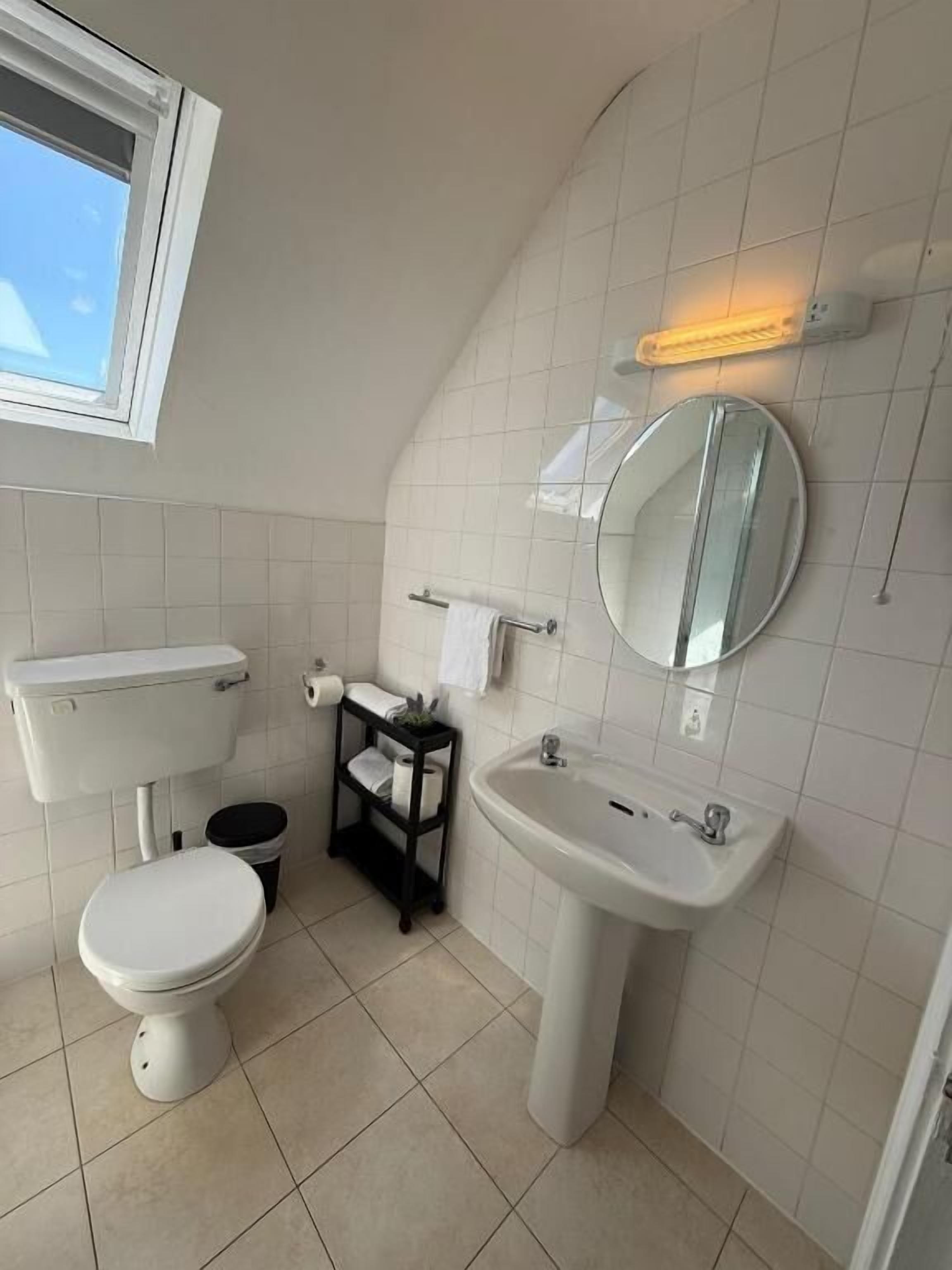A bathroom with a toilet, sink, and mirror.