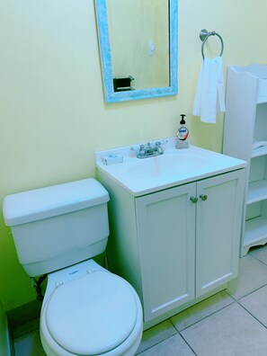 Secadora de cabello, toallas, papel de baño 