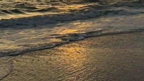 Un coucher de soleil sur l’océan, avec des vagues qui se brisent sur le rivage.