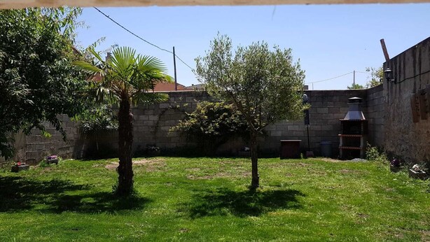A grassy backyard with two trees, a stone wall, and a chimney.